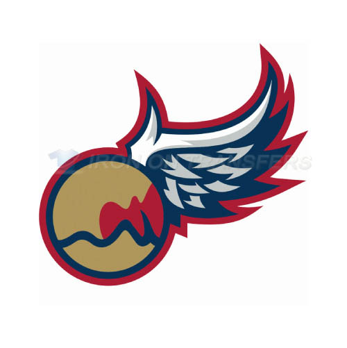 Grand Rapids Griffins Iron-on Stickers (Heat Transfers)NO.9015